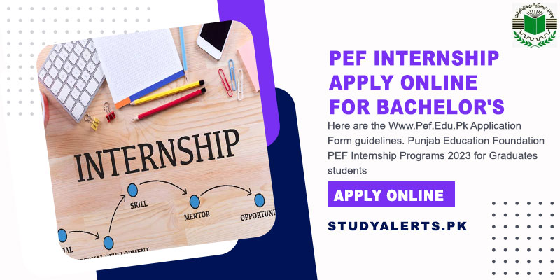 PEF-Internship-Apply-Online-For-Bachelor's