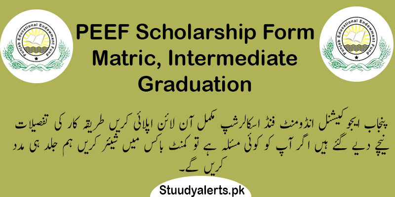 PEEF-Scholarship-Form-Matric,-Intermediate-&-Graduation